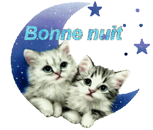 Bonne nuit  tout le monde